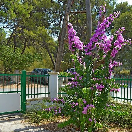 Apartment And Rooms Katica Biograd Na Moru Exterior foto